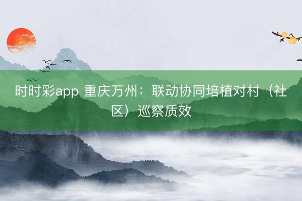 時時彩app 重慶萬州：聯動協同培植對村（社區）巡察質效