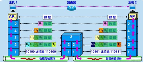 計算機網(wǎng)絡(luò)設(shè)計成果轉(zhuǎn)讓 法律保護與商業(yè)實踐